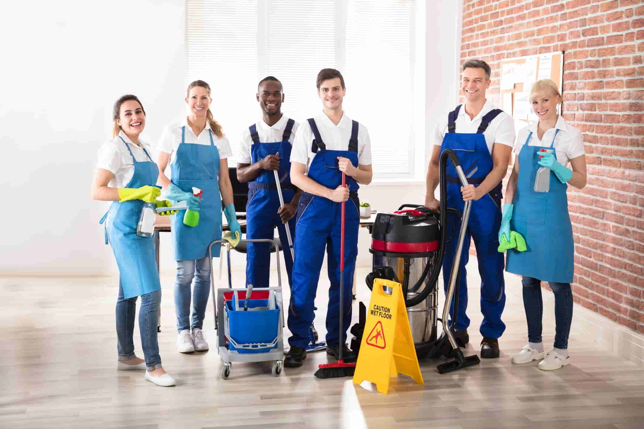 professional cleaning services